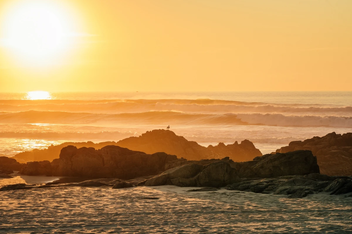 Viver em Leça - As melhores praias de Leça