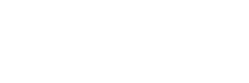 Logo PLENO
