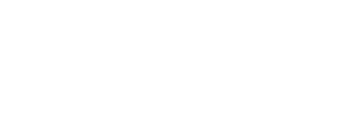 Logo Flower Tower Aurora